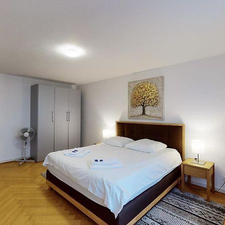 Bright 1 Bedroom Flat In The City Centre زيورخ المظهر الخارجي الصورة